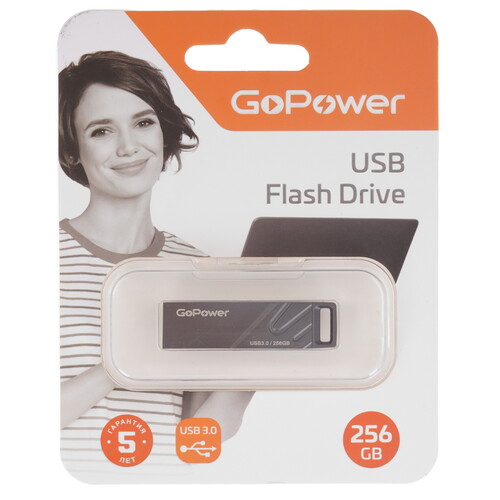 Купить Память USB Flash 256 ГБ GoPower [00-00027356]  5485544. Характеристики, отзывы и цены в Донецке