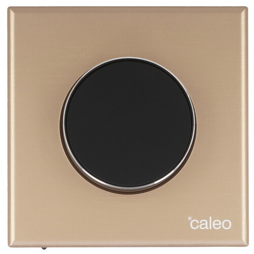 Купить Терморегулятор CALEO С938 gold  5497554. Характеристики, отзывы и цены в Донецке