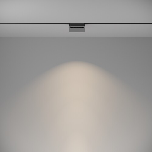 Купить Светильник трековый Maytoni TR013-2-10W4K-B  9169808. Характеристики, отзывы и цены в Донецке