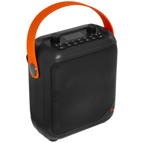 Купить Портативная аудиосистема MONSTER MFS 1, черный  9272367. Характеристики, отзывы и цены в Донецке