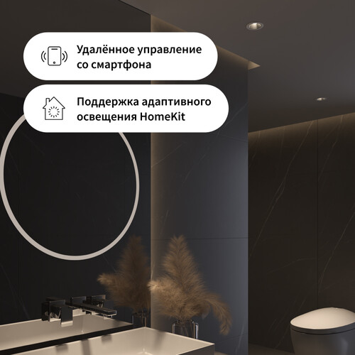 Купить Светильник потолочный Aqara LTSZNSD01LM_15 серебристый/черный  5480280. Характеристики, отзывы и цены в Донецке