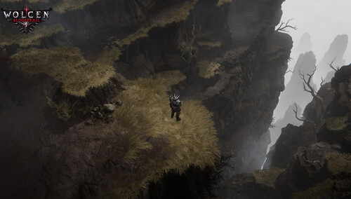 Купить Игра Wolcen: Lords of Mayhem (Steam)  5491177. Характеристики, отзывы и цены в Донецке