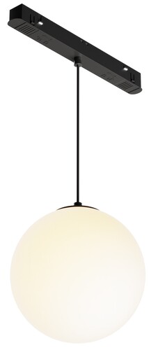 Купить Трековый подвесной светильник Technical TR039-2-5W3K  9170019. Характеристики, отзывы и цены в Донецке