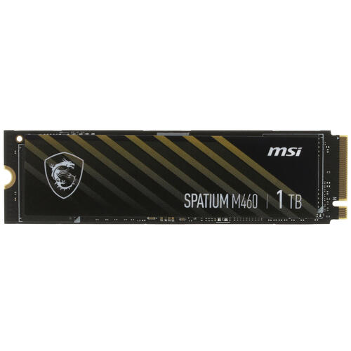 Купить 1000 ГБ M.2 NVMe накопитель MSI SPATIUM M460 [S78-440L930-P83]  5085898. Характеристики, отзывы и цены в Донецке