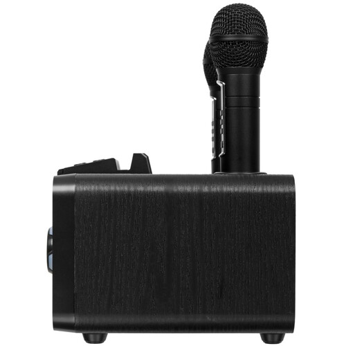 Купить Портативная колонка Ritmix SP-660B, черный  9201040. Характеристики, отзывы и цены в Донецке