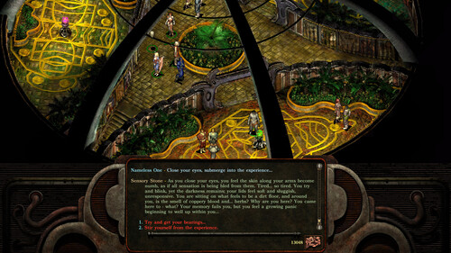 Купить Игра Planescape: Torment: Enhanced Edition (Steam)  5484374. Характеристики, отзывы и цены в Донецке