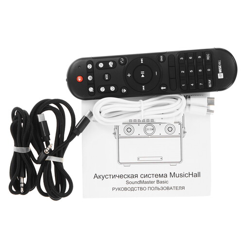 Купить Портативная аудиосистема MusicHall SoundMaster Basic, серый  5636564. Характеристики, отзывы и цены в Донецке