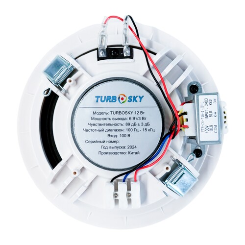 Купить Громкоговоритель потолочный Turbosky R-605  9142794. Характеристики, отзывы и цены в Донецке