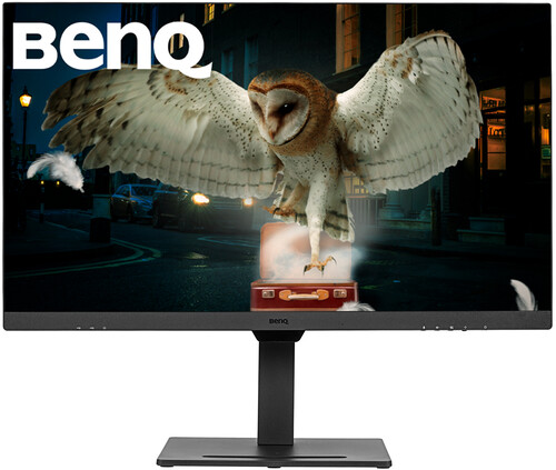 Купить 31.5" Монитор BenQ BL3290QT черный  5480541. Характеристики, отзывы и цены в Донецке