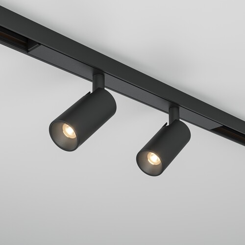 Купить Светильник трековый Maytoni TR176-1-2X3WTW-M-B  9169781. Характеристики, отзывы и цены в Донецке