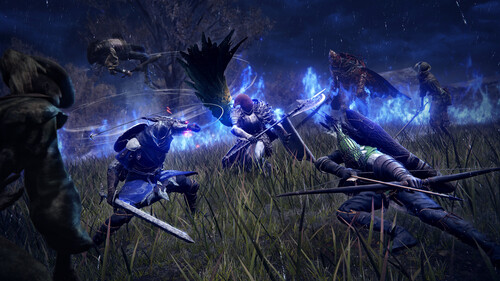 Купить Игра Elden Ring Nightreign Deluxe Edition (Steam)  5618065. Характеристики, отзывы и цены в Донецке