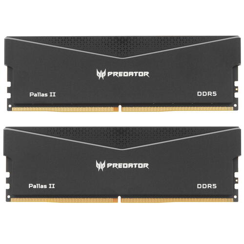 Купить Оперативная память Acer Predator Pallas II [BL.9BWWR.436] 64 ГБ  5447215. Характеристики, отзывы и цены в Донецке