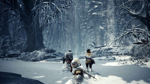 Купить Игра Monster Hunter World: Iceborne – Master Edition  4836277. Характеристики, отзывы и цены в Донецке