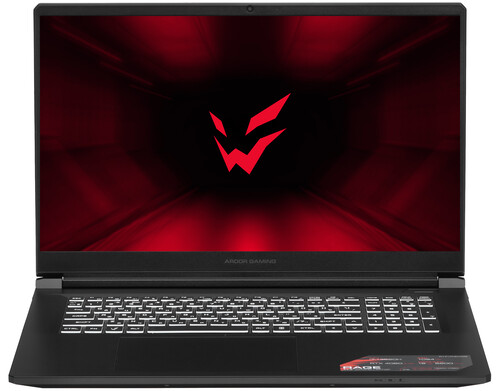 Купить 17.3" Ноутбук ARDOR Gaming RAGE R17-I7ND405 черный  9083314. Характеристики, отзывы и цены в Донецке