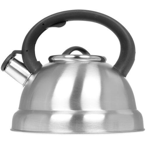 Купить Чайник для плиты Aceline TS-300 серебристый  1277545. Характеристики, отзывы и цены в Донецке