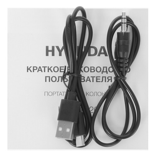Купить Портативная колонка Hyundai H-PS1020, черный  5423606. Характеристики, отзывы и цены в Донецке