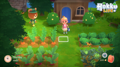 Купить Игра Hokko Life (Steam)  5618119. Характеристики, отзывы и цены в Донецке