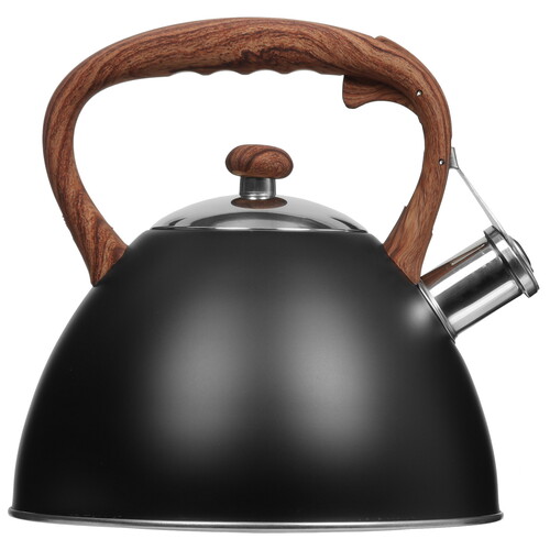 Купить Чайник для плиты Master House Marco 75332 черный  5451867. Характеристики, отзывы и цены в Донецке