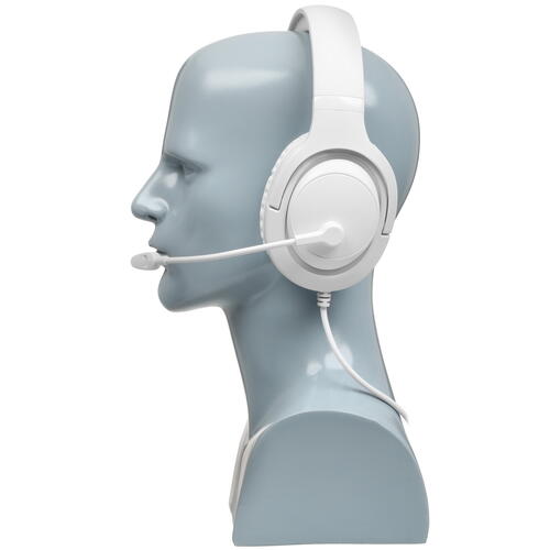 Купить Проводные наушники DEXP Intension белый 2021  4892245. Характеристики, отзывы и цены в Донецке