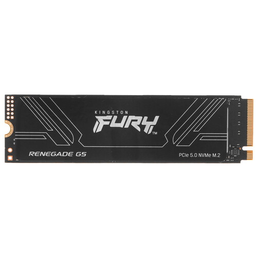 Купить 4096 ГБ M.2 NVMe накопитель Kingston FURY Renegade G5  5628977. Характеристики, отзывы и цены в Донецке