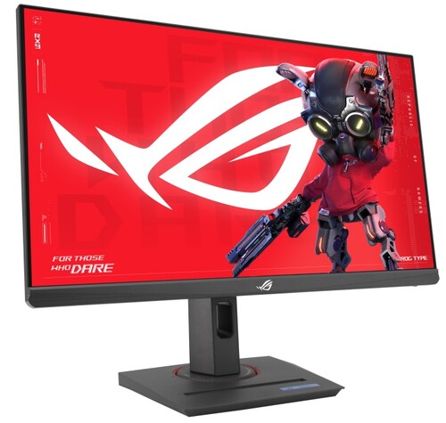 Купить 24.5" Монитор ASUS ROG Strix XG259CS черный  9240437. Характеристики, отзывы и цены в Донецке