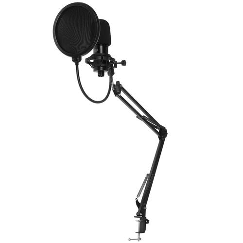 Купить Микрофонный комплект HIPER H-M010 черный  5029611. Характеристики, отзывы и цены в Донецке