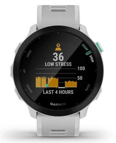 Купить Спортивные часы Garmin Forerunner 55  5407834. Характеристики, отзывы и цены в Донецке
