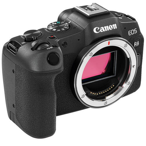 Купить Беззеркальный фотоаппарат Canon EOS R8 Body черный  5421732. Характеристики, отзывы и цены в Донецке