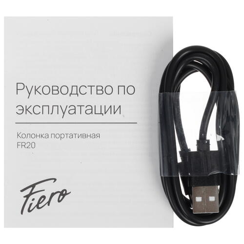 Купить Портативная колонка Fiero Tune FR20, черный  5403801. Характеристики, отзывы и цены в Донецке