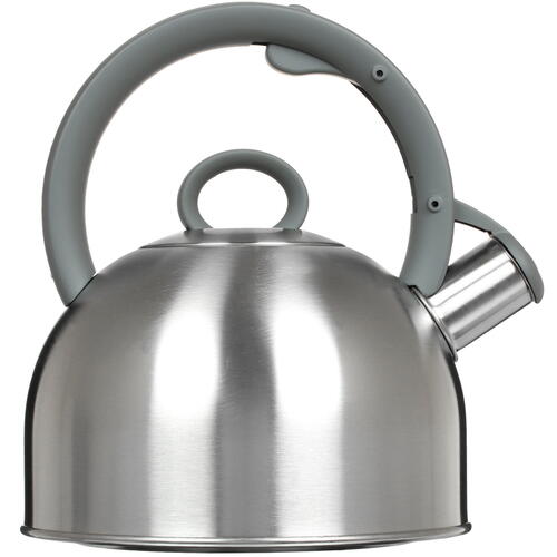 Купить Чайник для плиты Nadoba Sandra 731602 серебристый  5075192. Характеристики, отзывы и цены в Донецке
