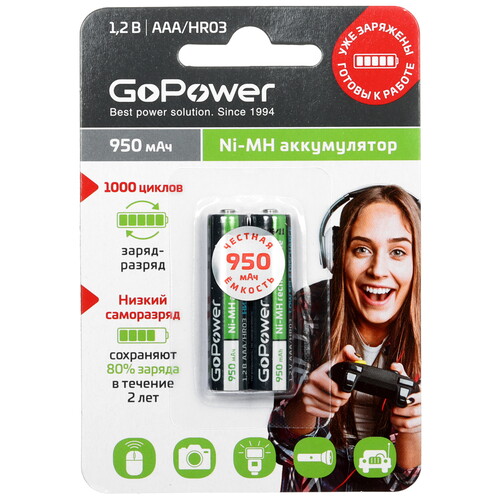 Купить Аккумулятор GoPower Ni-MH AAA 950мАч 950 мА*ч  5480231. Характеристики, отзывы и цены в Донецке
