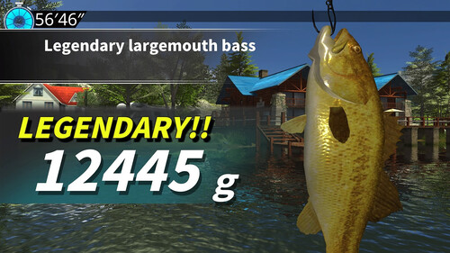 Купить Игра Legendary Fishing (Switch)  5483994. Характеристики, отзывы и цены в Донецке