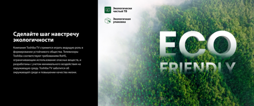 Купить 55" (139 см) Телевизор Toshiba 55M450RE серый  9308845. Характеристики, отзывы и цены в Донецке