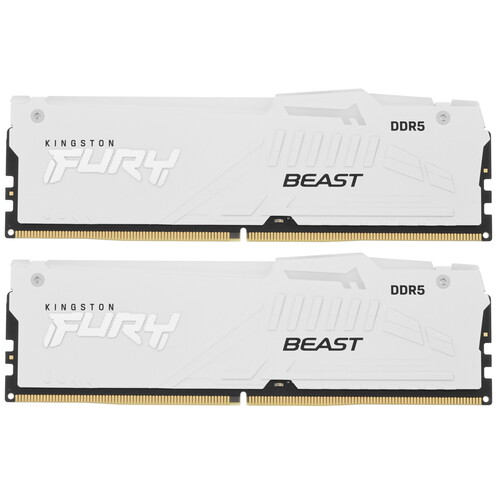 Купить Оперативная память Kingston FURY Beast White RGB [KF560C30BWEAK2-64] 64 ГБ  5617449. Характеристики, отзывы и цены в Донецке