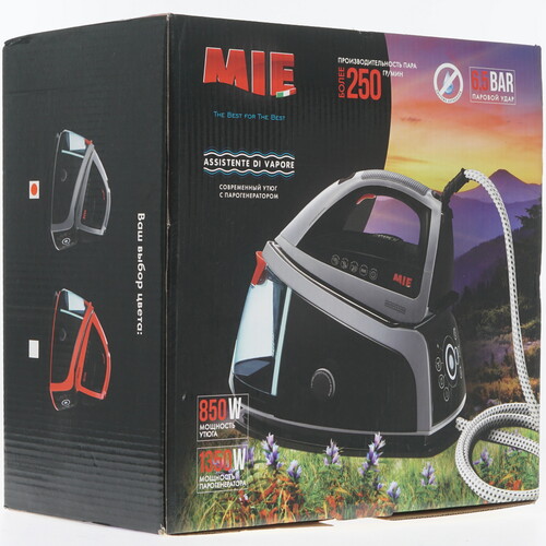 Купить Парогенератор MIE Assistente Di Vapore серебристый  8123379. Характеристики, отзывы и цены в Донецке