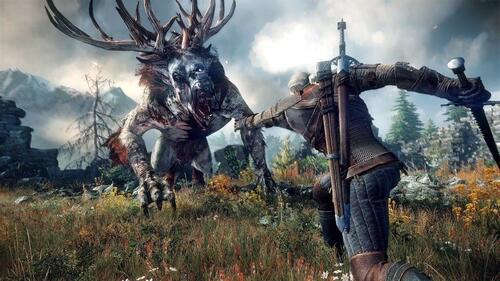 Купить Игра The Witcher 3: Wild Hunt (Switch)  1393472. Характеристики, отзывы и цены в Донецке