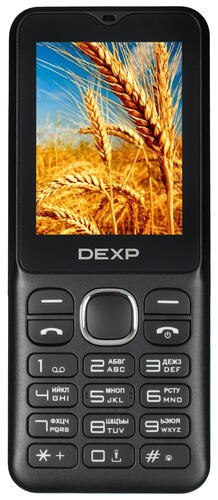 Купить Сотовый телефон DEXP Z284 черный  5064175. Характеристики, отзывы и цены в Донецке