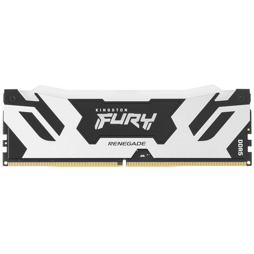 Купить Оперативная память Kingston FURY Renegade Silver RGB [KF572C38RSA-24] 24 ГБ  5436210. Характеристики, отзывы и цены в Донецке