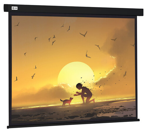 Купить 135" Экран для проектора Cactus Wallscreen CS-PSW-168X299-BK  9920785. Характеристики, отзывы и цены в Донецке