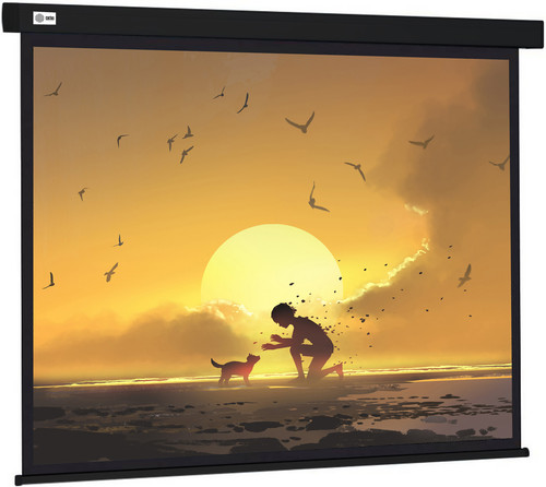 Купить 84" Экран для проектора Cactus Wallscreen CS-PSW-150X150-BK  9920802. Характеристики, отзывы и цены в Донецке