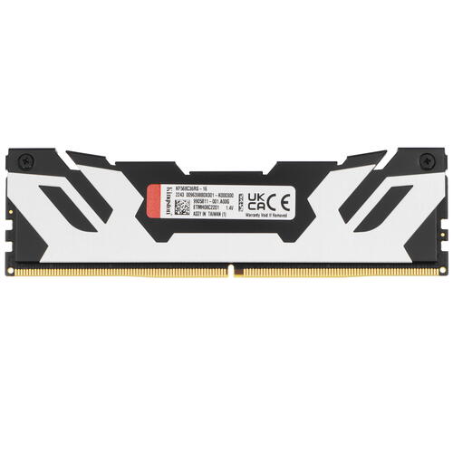 Купить Оперативная память Kingston FURY Renegade Silver [KF568C36RS-16] 16 ГБ  5089840. Характеристики, отзывы и цены в Донецке