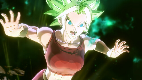 Купить Дополнение для игры Dragon Ball Xenoverse 2 - Legendary Pack 2 (Steam)  5601355. Характеристики, отзывы и цены в Донецке