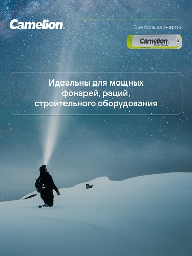 Купить Аккумулятор Camelion NH-AAA1100BP2 1100 мА*ч  9105773. Характеристики, отзывы и цены в Донецке
