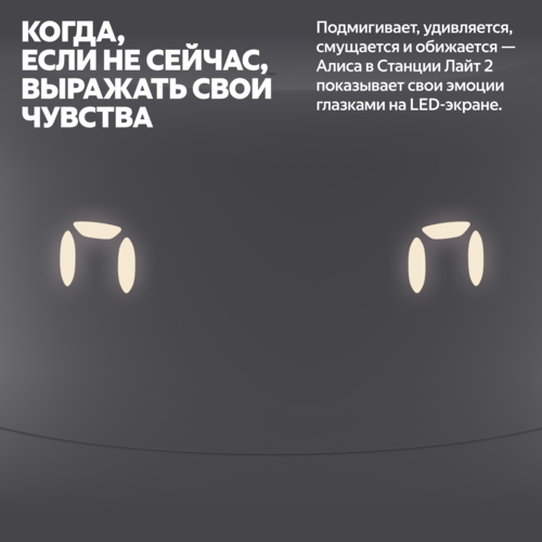 Купить Умная колонка Яндекс Станция Лайт 2 серый  5635230. Характеристики, отзывы и цены в Донецке