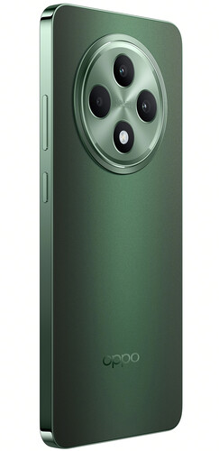 Купить 6.67" Смартфон OPPO Reno12 F 4G 256 ГБ зеленый  5475539. Характеристики, отзывы и цены в Донецке