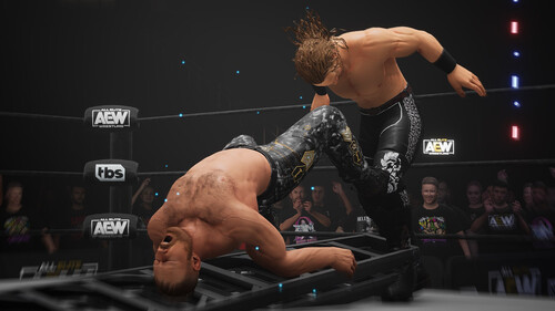 Купить Игра AEW: Fight Forever Elite Edition (Steam)  5484420. Характеристики, отзывы и цены в Донецке