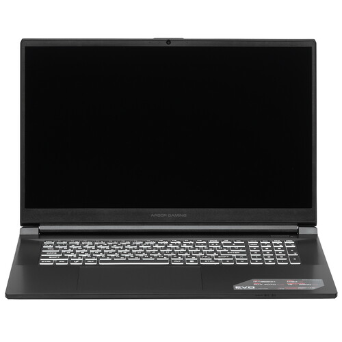 Купить 17.3" Ноутбук ARDOR Gaming EVO E17-I7ND401 черный  9083820. Характеристики, отзывы и цены в Донецке