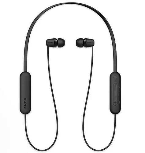 Купить Беспроводные наушники Sony WI-C100 черный  5432866. Характеристики, отзывы и цены в Донецке