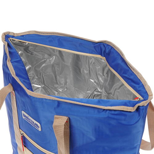 Купить Изотермическая сумка Biostal Фэмили TВ-30B  1663726. Характеристики, отзывы и цены в Донецке