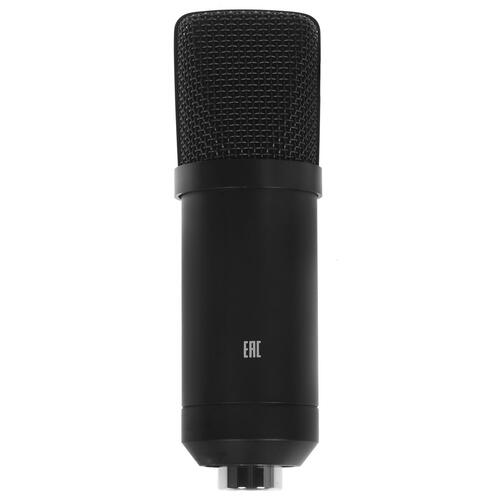 Купить Микрофон Ritmix RDM-160 черный  1358652. Характеристики, отзывы и цены в Донецке
